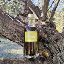Load image into Gallery viewer, Aceite de Oliva con Ajo y Perejil - 250ml X Motel Empordà