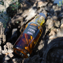 Load image into Gallery viewer, Aceite de Oliva con Boletus - 250ml
